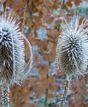 andergarten gmbh Bild 3