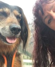 Hunde-Schule Manuela Albrecht - I han en Hund ... ja und?! Bild 9