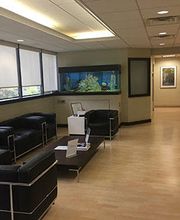 Rockland Endodontics: Garry L. Bey DDS image 2