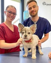 ClinicVet Vétérinaire Beaumont-le-Roger image 8