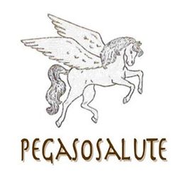 Pegaso Salute logo