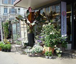 Créafloristique AG Bild 1