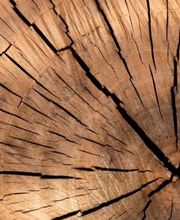 Babic Holzbau GmbH Bild 1