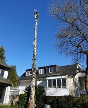 Strack Gartenbau & Containerdienst Bild 17