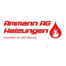 Ammann AG
