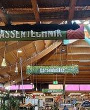 HORNBACH Gartencenter Potsdam Bild 6