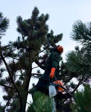 WhatsApp Image 2026-01-31 at 19.27.39 (1).jpeg