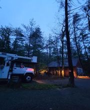 Happy Stump Tree Service image 9