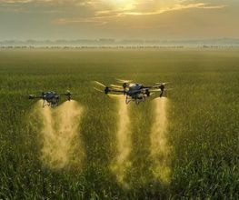 Drone Agri Tech di Alessio Guscetti Bild 4