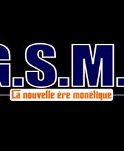 GUYANE SOLUTION MONETIQUE ET INFORMATIQUE GSMI image 7