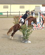 Ecuries Lalye GUILLAUMEE CHANTAL image 16