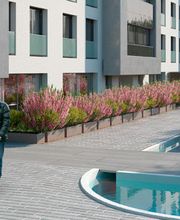 Analyses et Développements Immobiliers Bild 2