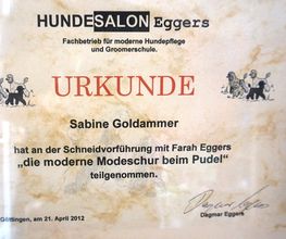 Bine's Hundestyling Bild 8