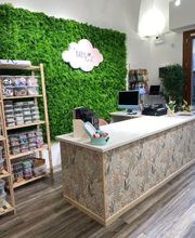 Gallery Cliente