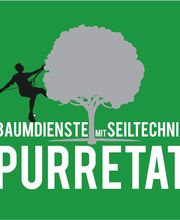 Baumdienste mit Seiltechnik Purretat Bild 1