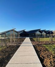 IPB Lazzaroni image 1