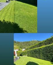 Traumplatz Garten- Gebäudemanagement Bild 4