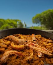 Arrozante Barceló Punta Umbría imagen 2