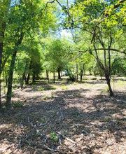 Florida Showcase Realty, LLC image 6