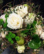 1A Blumen Beck Bild 10