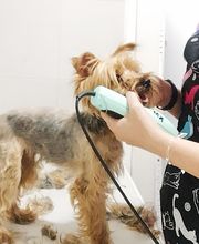 Y yo con estos pelos imagen 2