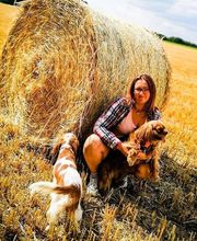 Hundezentrum Lapki Bild 5