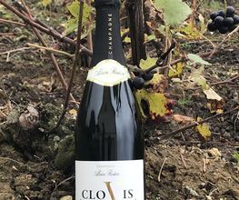 Champagne Alain Rodier image 2