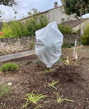 Sanka Prestations image 7