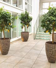 Côté Jardin image 18