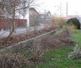 Schild Gartenbau AG Bild 9