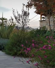 Paysage Services image 2