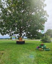 Premio Reifen + Autoservice Reifen Köhler GmbH Bild 6