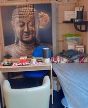 Hinout Julie image 16