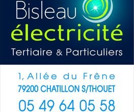Bisleau Electricité image 17