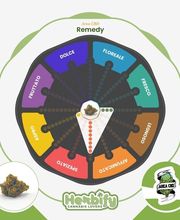 Herbify Cannabis Lovers Delivery immagine 2