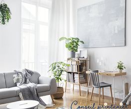 MAISON & SERVICES TOURS image 4