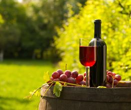 Weingut