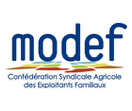 Csaef-modef image 2