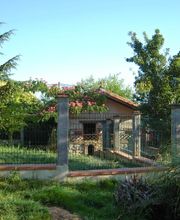 Le Grand Cèdre image 10