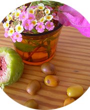 Birgit Fiegl Heilpraktikerin Bild 4