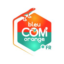 Bleu Com' Orange