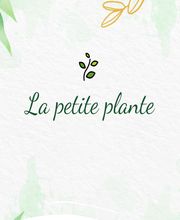 La Petite Plante image 19