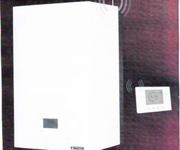 Millet V image 6