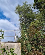 M.B.Elagage image 10