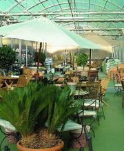 Fantastic Gardens imagen 18