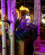 HANS IM GLÜCK - SPREITENBACH Shoppi Tivoli Bild 10