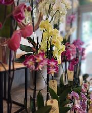 Le Quai des 4 Saisons image 3