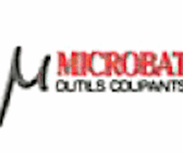 Microbat image 2
