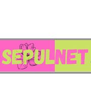 Sepulnet image 1