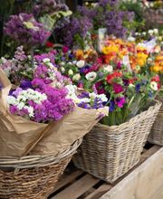 Gärtnerei Koop Bild 3